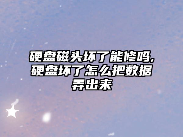 硬盤(pán)磁頭壞了能修嗎,硬盤(pán)壞了怎么把數(shù)據(jù)弄出來(lái)