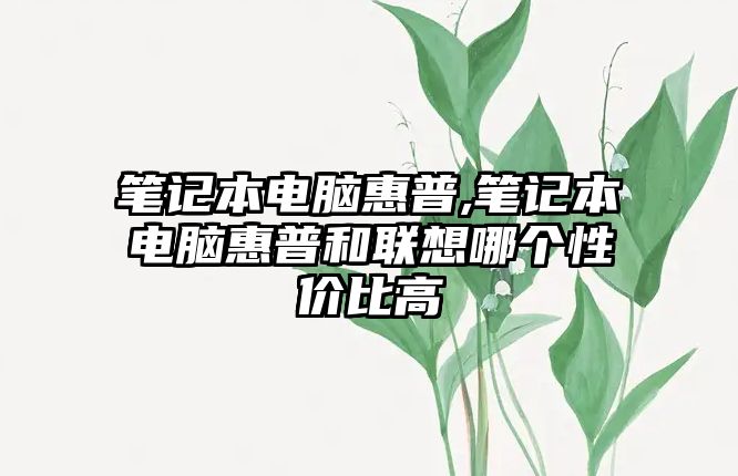 筆記本電腦惠普,筆記本電腦惠普和聯(lián)想哪個性價比高