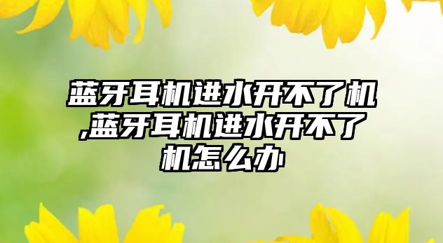 藍(lán)牙耳機進水開不了機,藍(lán)牙耳機進水開不了機怎么辦