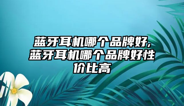 藍(lán)牙耳機(jī)哪個(gè)品牌好,藍(lán)牙耳機(jī)哪個(gè)品牌好性價(jià)比高