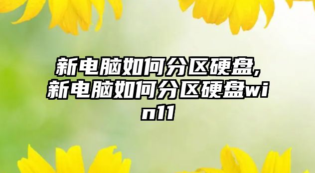 新電腦如何分區(qū)硬盤,新電腦如何分區(qū)硬盤win11