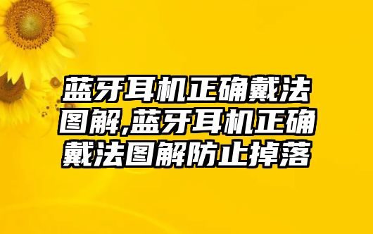 藍牙耳機正確戴法圖解,藍牙耳機正確戴法圖解防止掉落