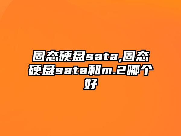 固態(tài)硬盤sata,固態(tài)硬盤sata和m.2哪個(gè)好