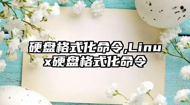 硬盤格式化命令,Linux硬盤格式化命令