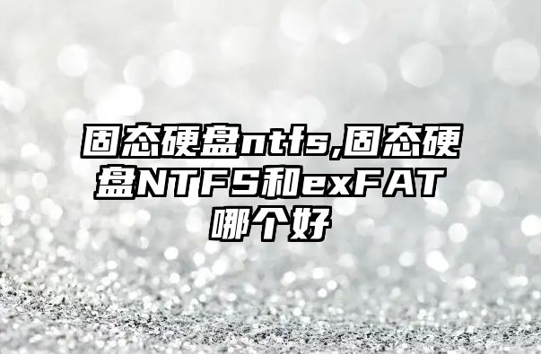 固態(tài)硬盤ntfs,固態(tài)硬盤NTFS和exFAT哪個(gè)好