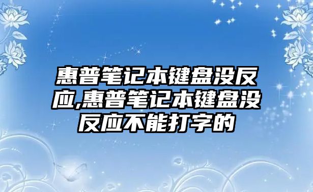 惠普筆記本鍵盤沒反應(yīng),惠普筆記本鍵盤沒反應(yīng)不能打字的