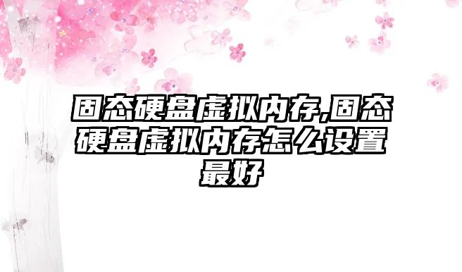 固態(tài)硬盤虛擬內存,固態(tài)硬盤虛擬內存怎么設置最好