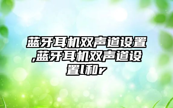 藍(lán)牙耳機雙聲道設(shè)置,藍(lán)牙耳機雙聲道設(shè)置l和r