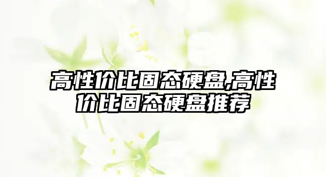 高性價比固態(tài)硬盤,高性價比固態(tài)硬盤推薦