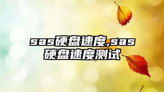 sas硬盤速度,sas硬盤速度測(cè)試