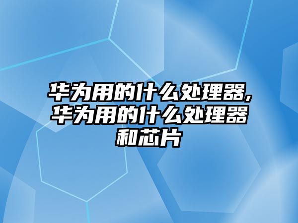 華為用的什么處理器,華為用的什么處理器和芯片