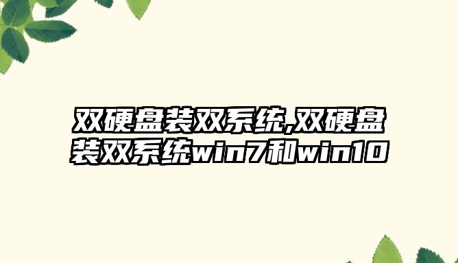 雙硬盤裝雙系統(tǒng),雙硬盤裝雙系統(tǒng)win7和win10